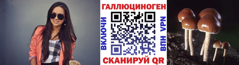 OMG ССЫЛКА  мориарти как зайти  Галлюциногенные грибы прущие грибы  Мензелинск 